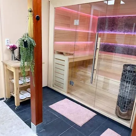 Wellness Studio With Sauna And Jacuzzi Appartamento Tiel