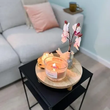 Wellness Studio With Sauna And Jacuzzi * Tiel